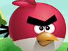 Angry Birds Get Home