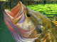 Lake Fishing Green Lagon