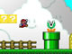 Mario DS
