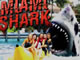 Miami Shark