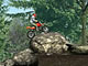 Spring Bike