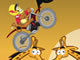 Super Bike Jungle