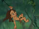 Tarzan Swing