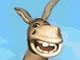 Donkey Dilemma