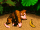 Donkey Kong Country