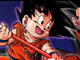 Dragon Ball Fighting