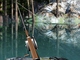 Lake Fishing 2