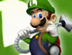 Luigi Bros save Mario