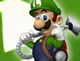 Luigi Bros save Mario