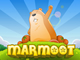 Marmotte