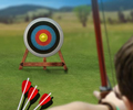 Max Arrow Archery