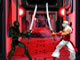Ninja Showdown
