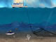 Ocean Survivor