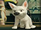 Run Bolt Run