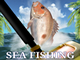 Sea Fishing