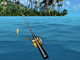 Sea Fishing Tropical