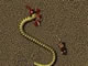 Snake 3000