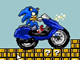 Sonic Enduro Race