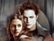 Twilight Puzzle