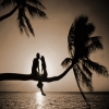 Davi_97 Davi_97