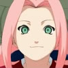 sakura579
