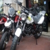 stellina123