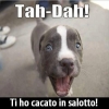 Emagurgo Emagurgo