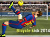 Calcio Rovesciate 2014