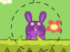 Bunny Land