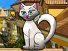 Kitty Town