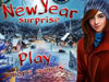 New Year Surprise