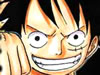 One Piece The Hot Fight