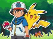 Pokemon catch time