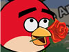 Rolling Angry Birds