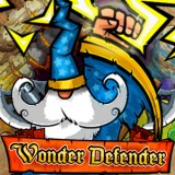 Wonder defender
