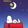 peanuts57