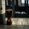 jannat