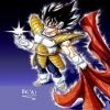 chicco983