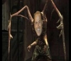 Martin Hell