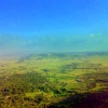 franzisca