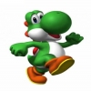 Yoshi 317