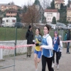 simu