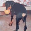 ikram