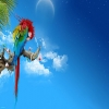 _winx_club_05