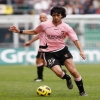 domenico.c