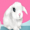 alice999