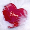 domy65