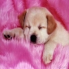 memy ^.^