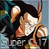 Super C 17