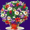 titti57